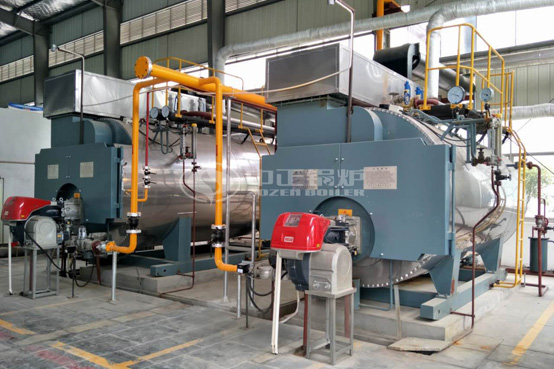 6噸、4噸WNS冷凝式燃?xì)庹羝仩t項目